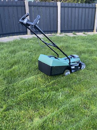 Bosch CityMower 18 lawn mower review: lawn before mowing