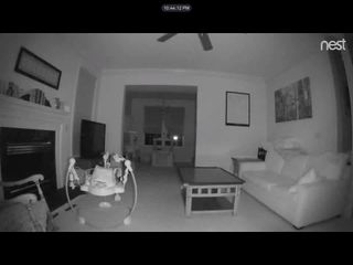 Nest Cam's night vision footage was serviceable, but lacked fine detail.