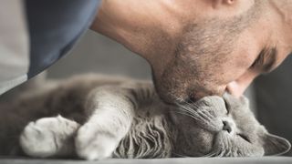 Man kissing a shorthair cat