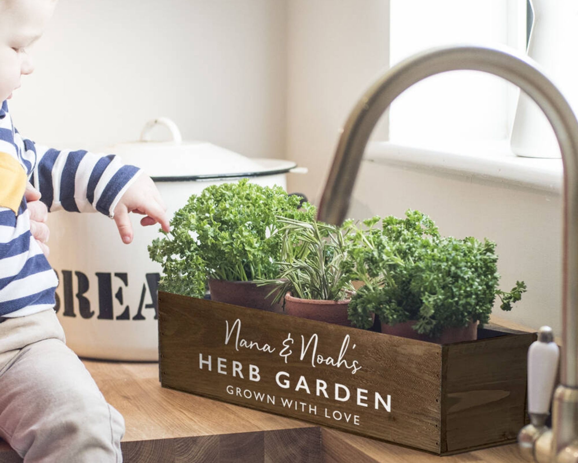 Delightful Living Personalised Herb Garden Box