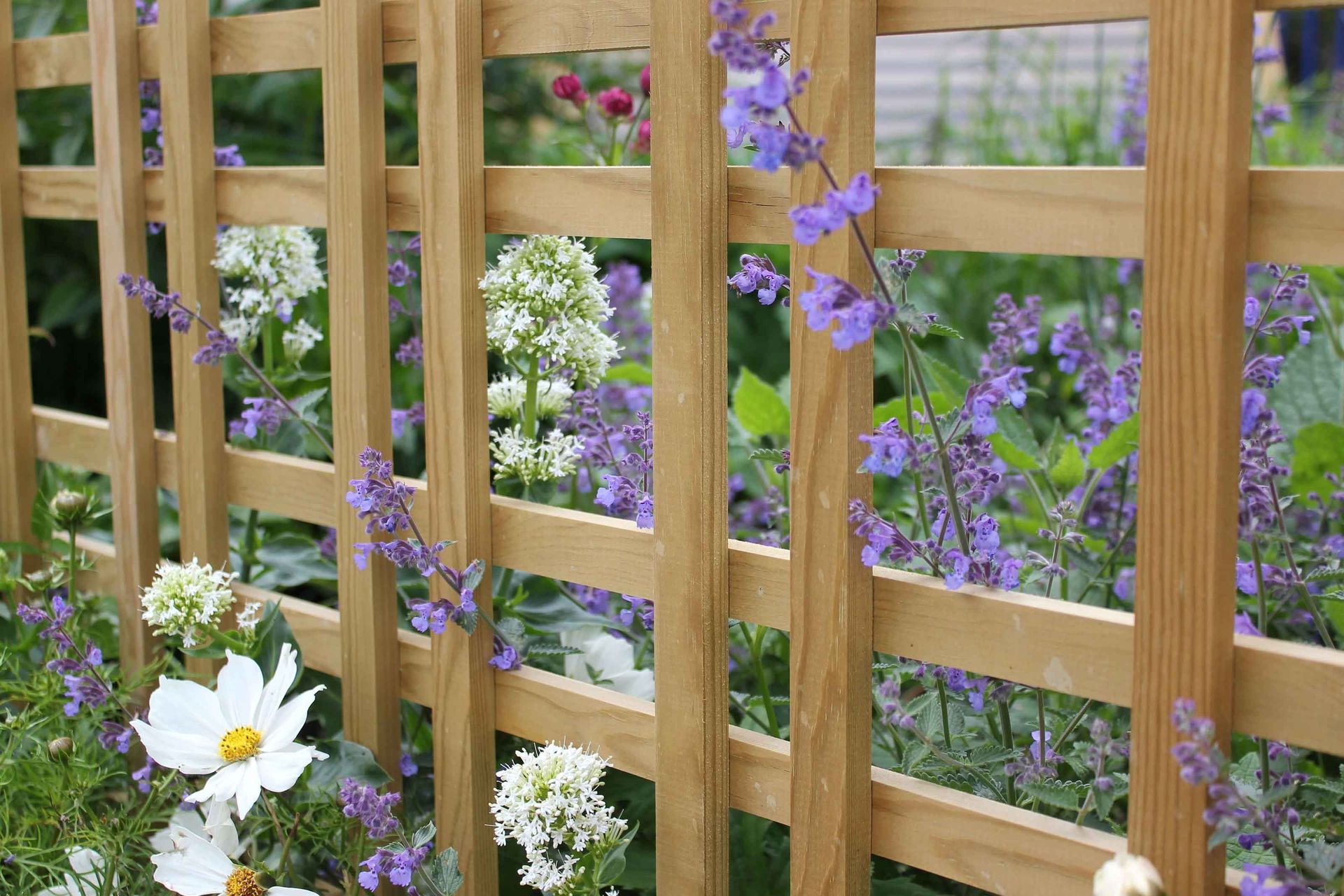 Cheap fence ideas: 11 inexpensive ways to surround your backyard for ...