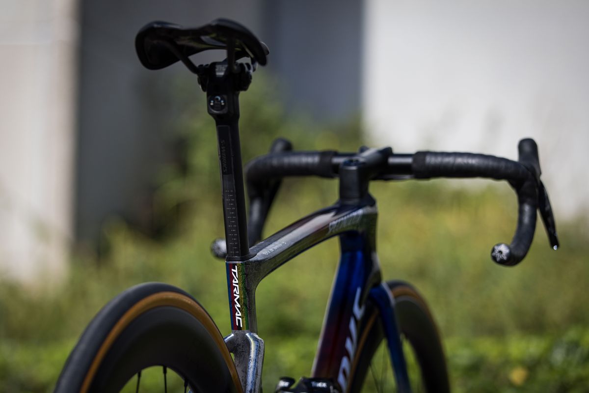 Julian Alaphilippe Specialized S-Works Tarmac SL7