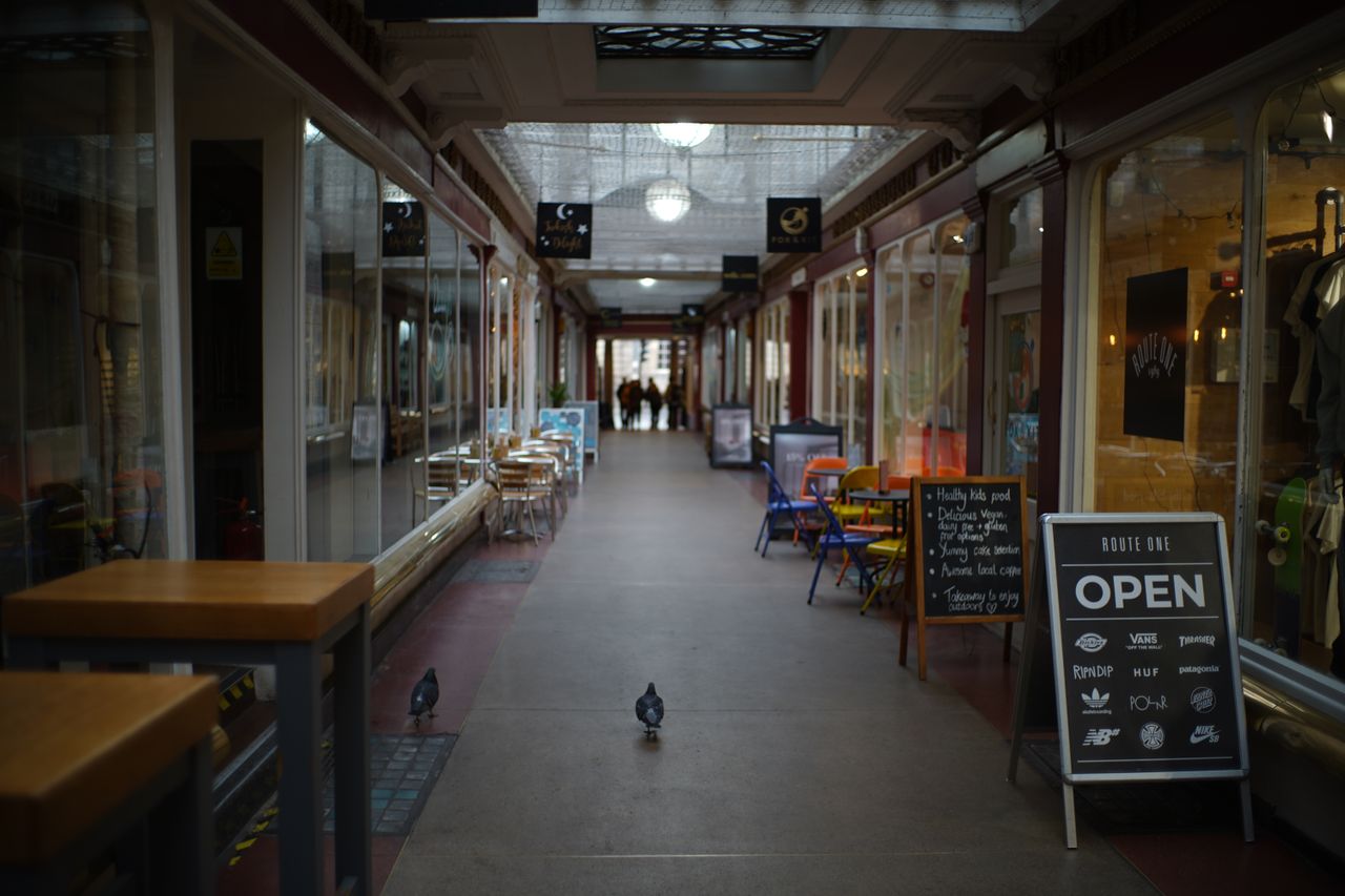 Pergear 35mm f/1.4 review sample images