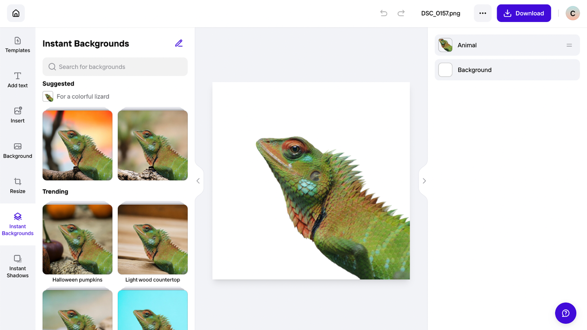 PhotoRoom review screenshot