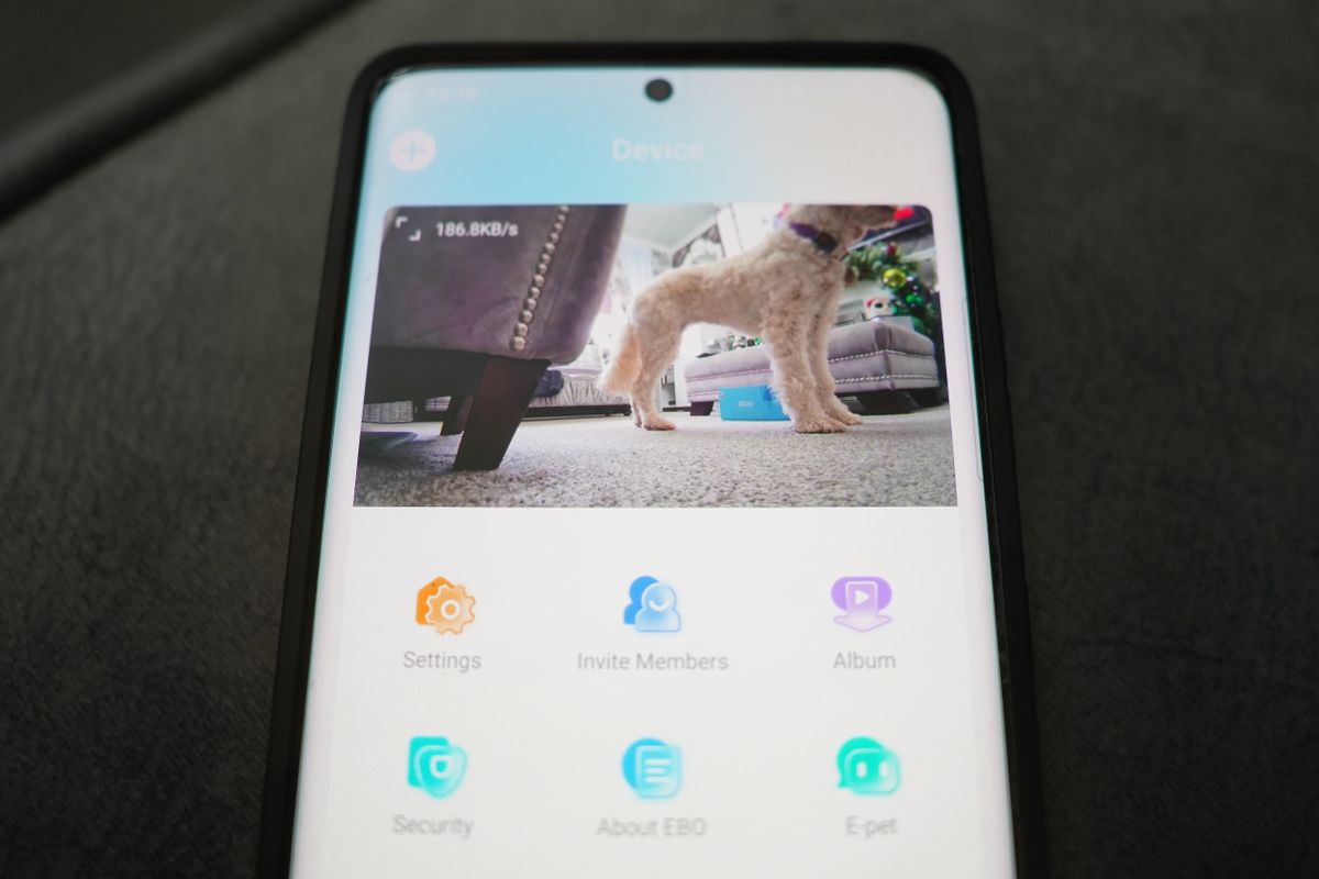 Enabot EBO Air review