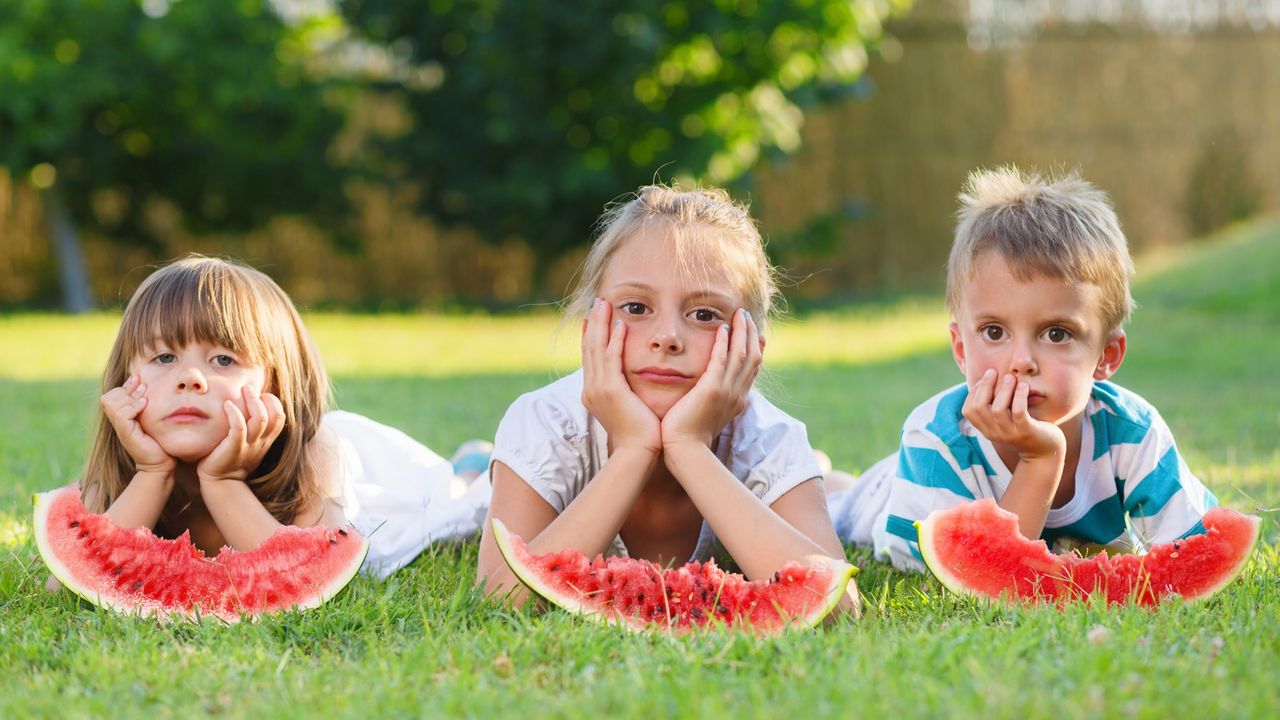 Three children lying on grass, each with a slice of watermelon, looking bored