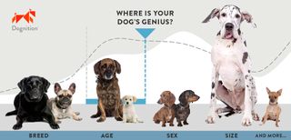 The Dognition data visualization tool can reveal breed differences.