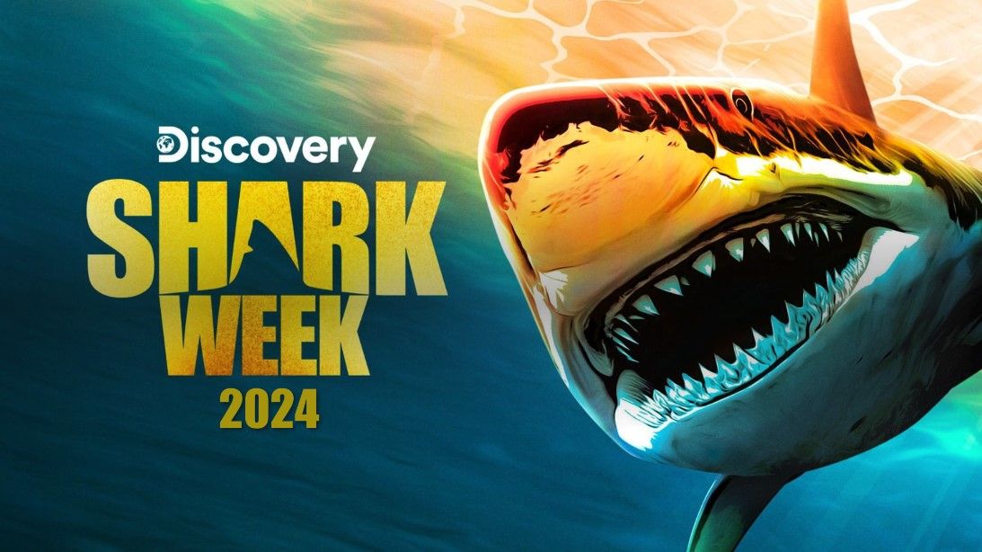 Shark Week 2024: schedule, host, shows & everything we know | What to Watch