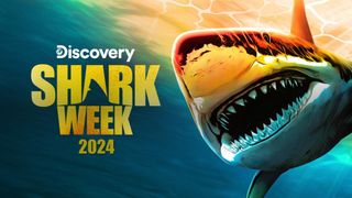 Shark Week 2024 poster