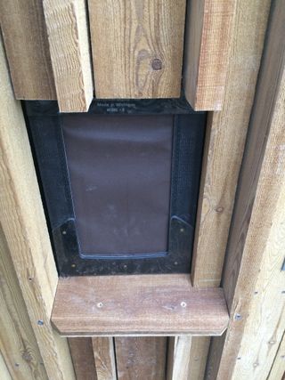 cat flap in energy efficient home