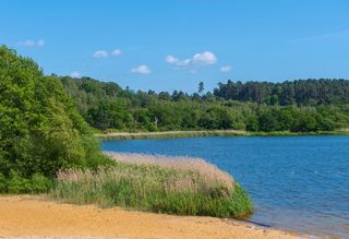 Frensham ponds near farnham surrey