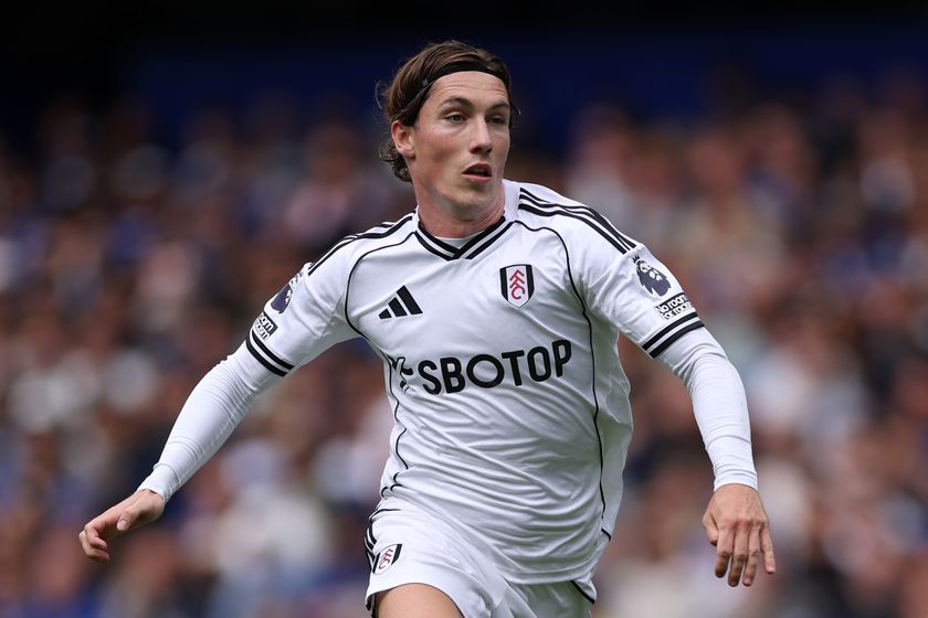 Fulham and Wales winger Harry Wilson
