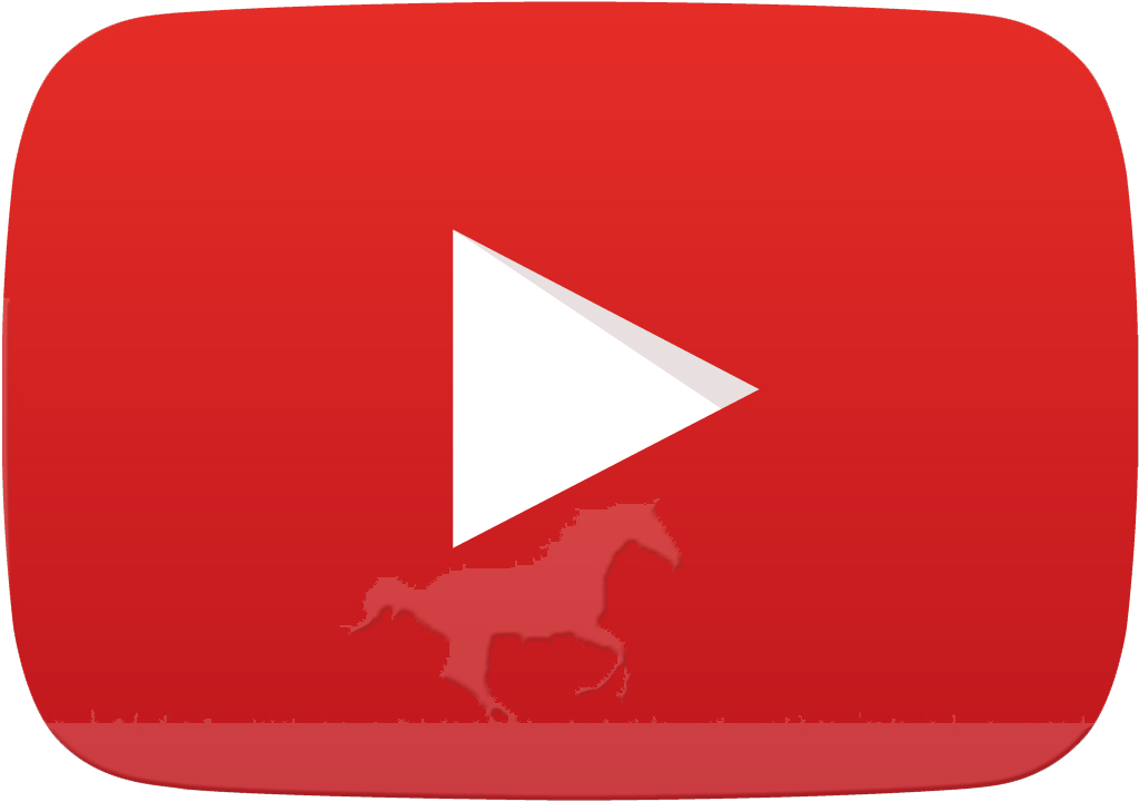 Verdo-Youtube.jpg