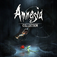 Amnesia: Collection: £23.99