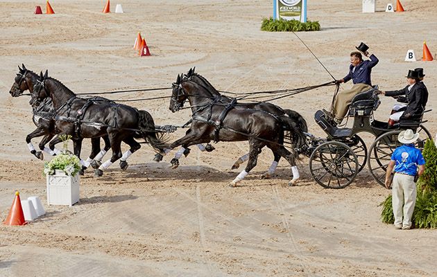 USA takes team driving glory as Australia&amp;rsquo;s Boyd Excell claims third WEG gold