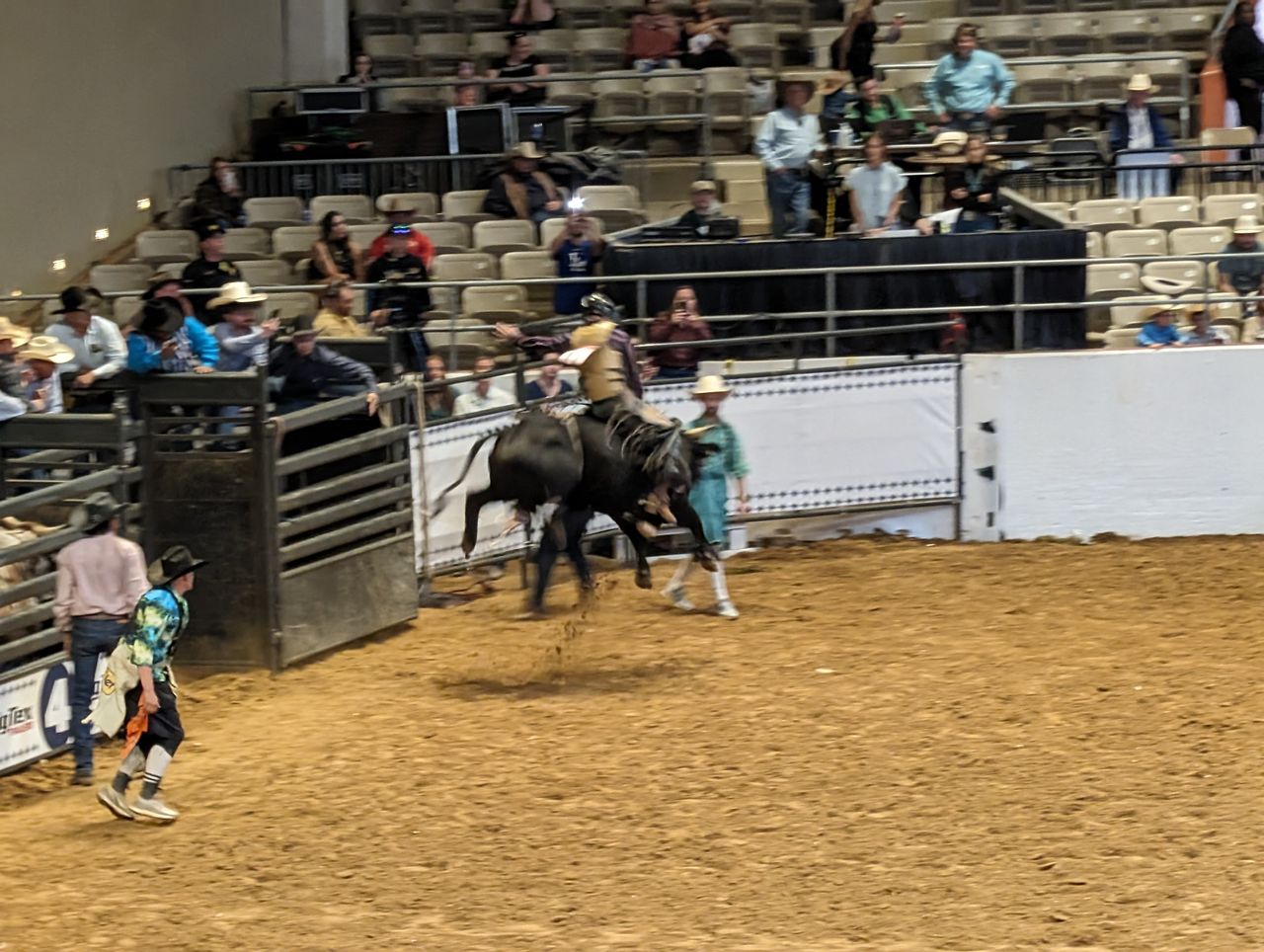 Google Pixel 8 Pro camera image samples