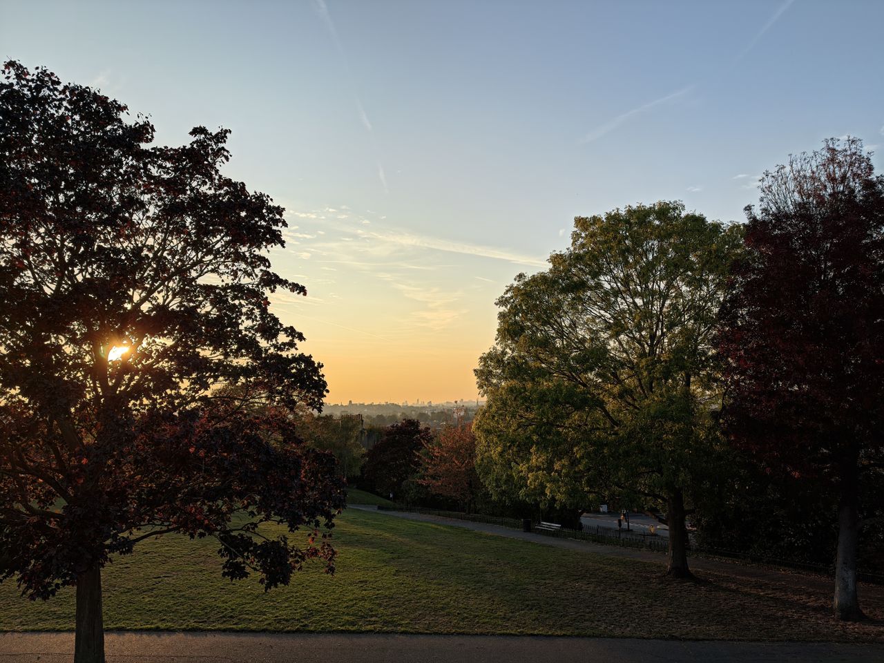 A view from a park hill