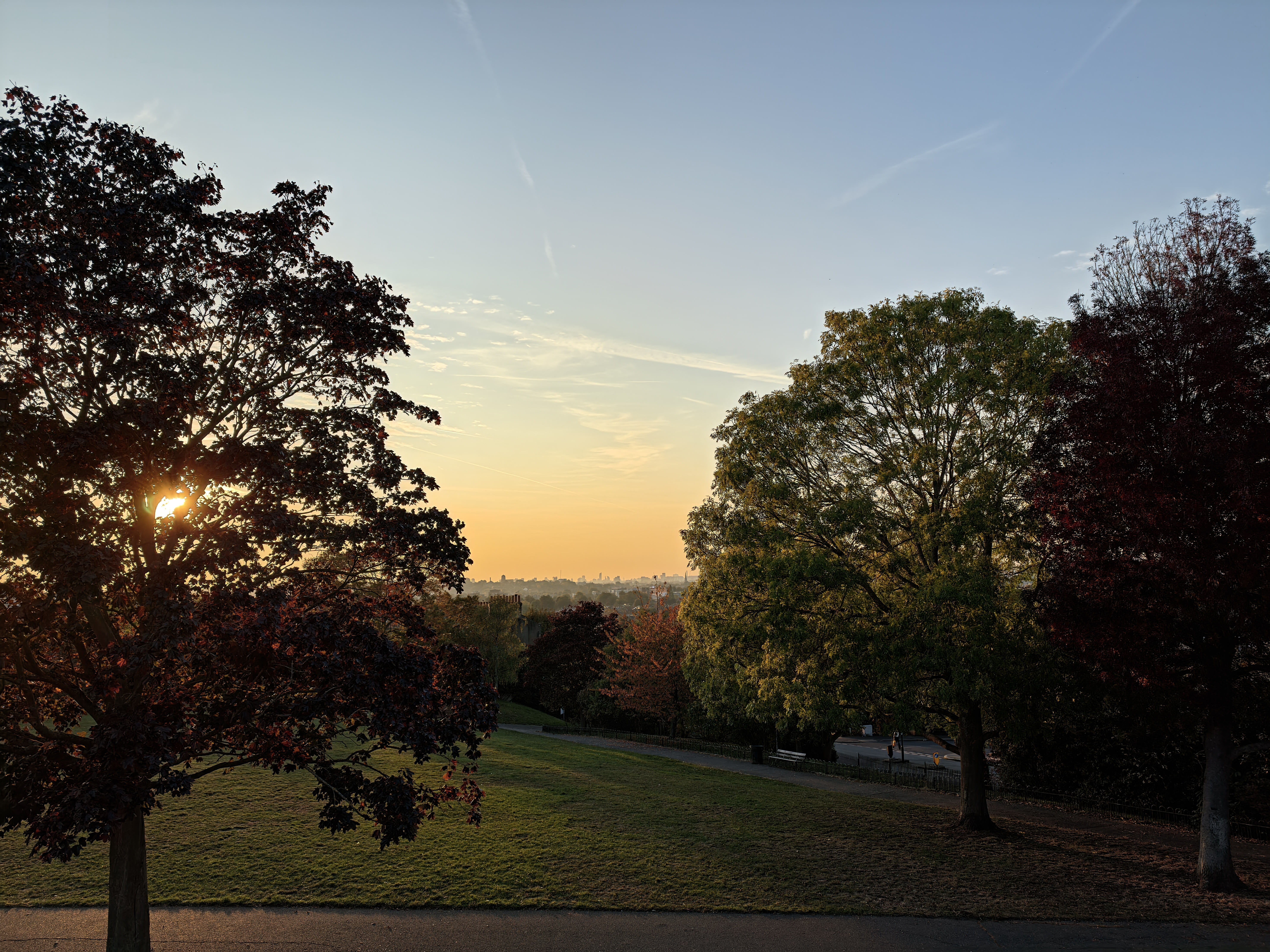 A view from a park hill