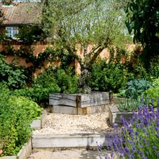 Garden with raised beds of herbs, plants and trees
