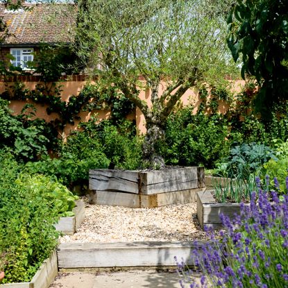 high-maintenance plants Garden with raised beds of herbs, plants and trees