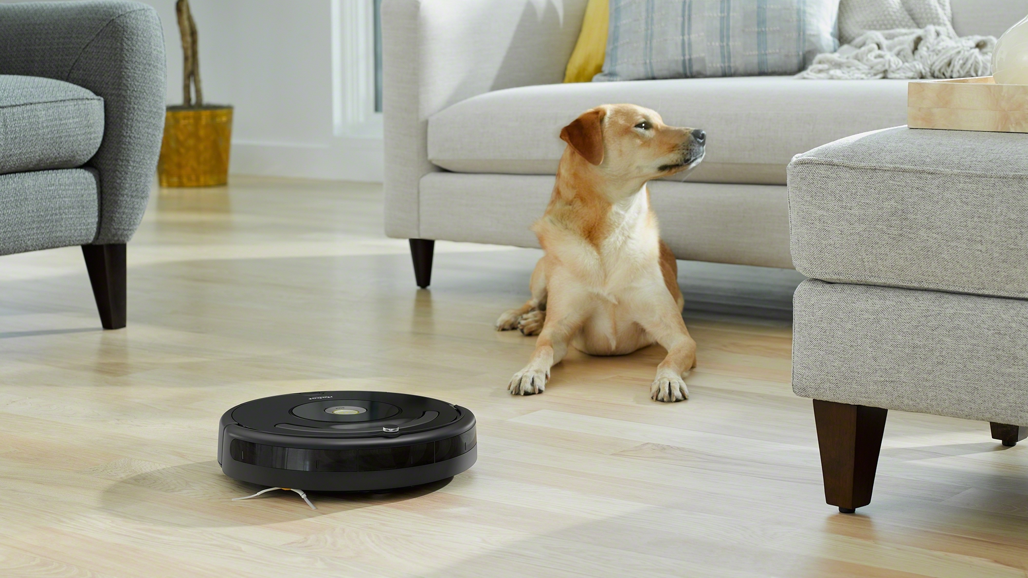 robot vacuum for pet hair