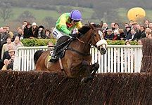 kauto-star1.jpg