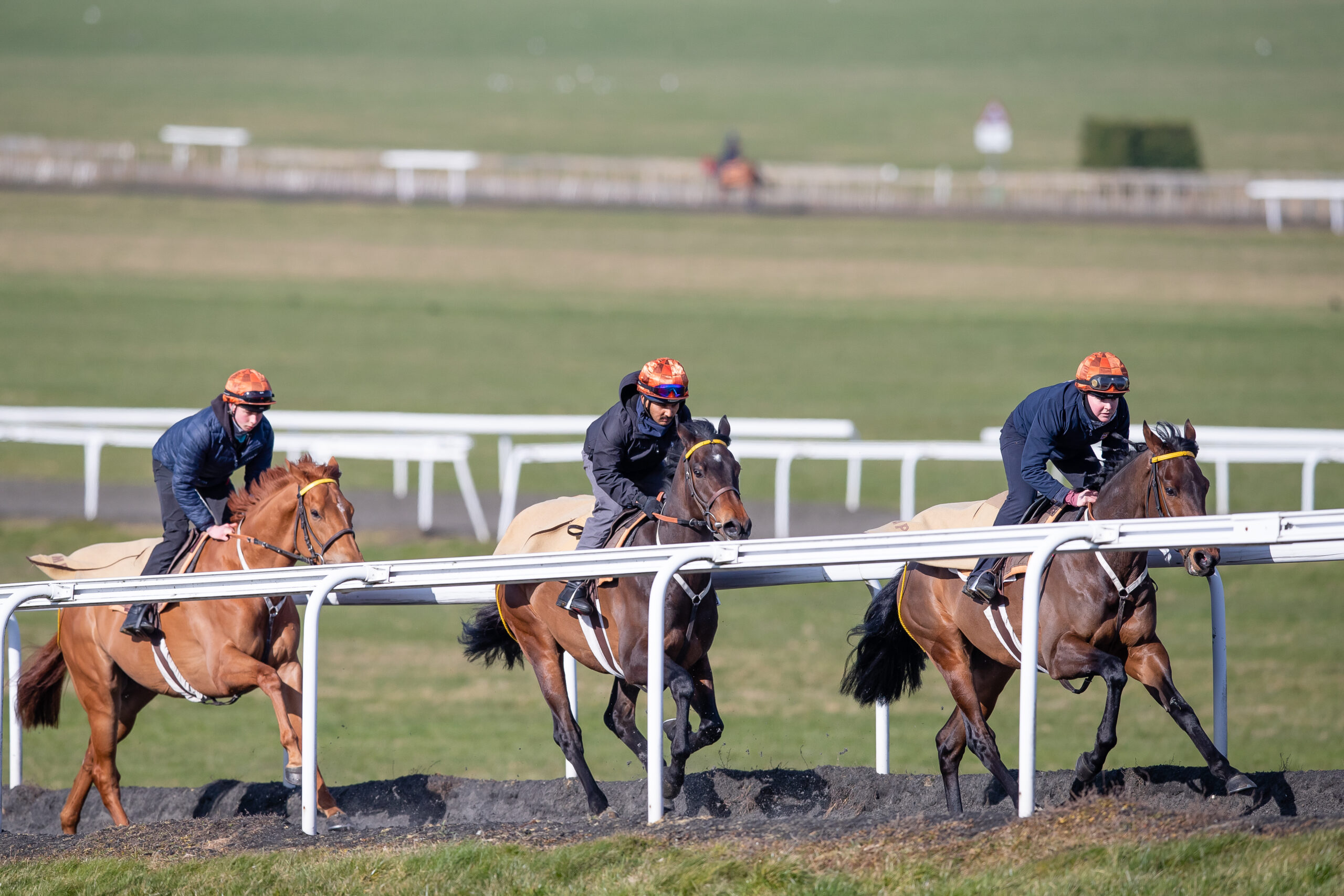 Poppy Scott on Synergism lead the string up the gallops on Warren Hill. Credit Elli Birch/Bootsandhooves.