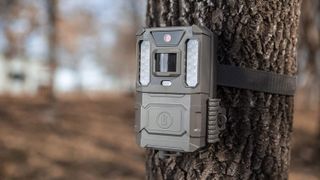 Best trail cameras: Bushnell Prime Low Glow Trail Camera