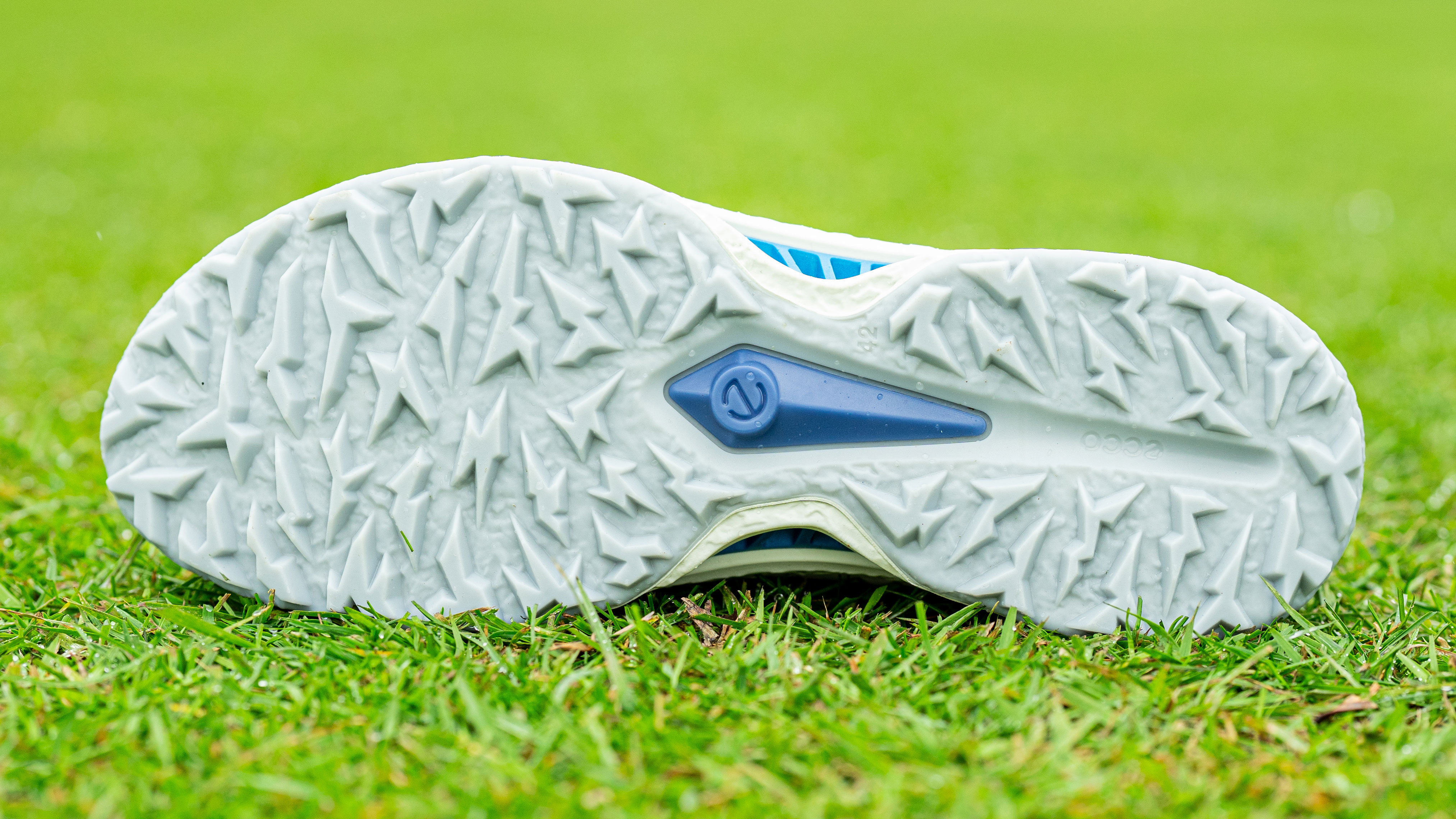 Ecco Biom C5 Golf Shoe Review