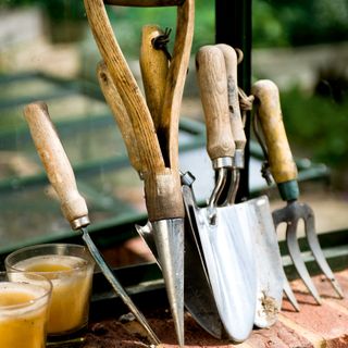 gardening tools with soil and glasses