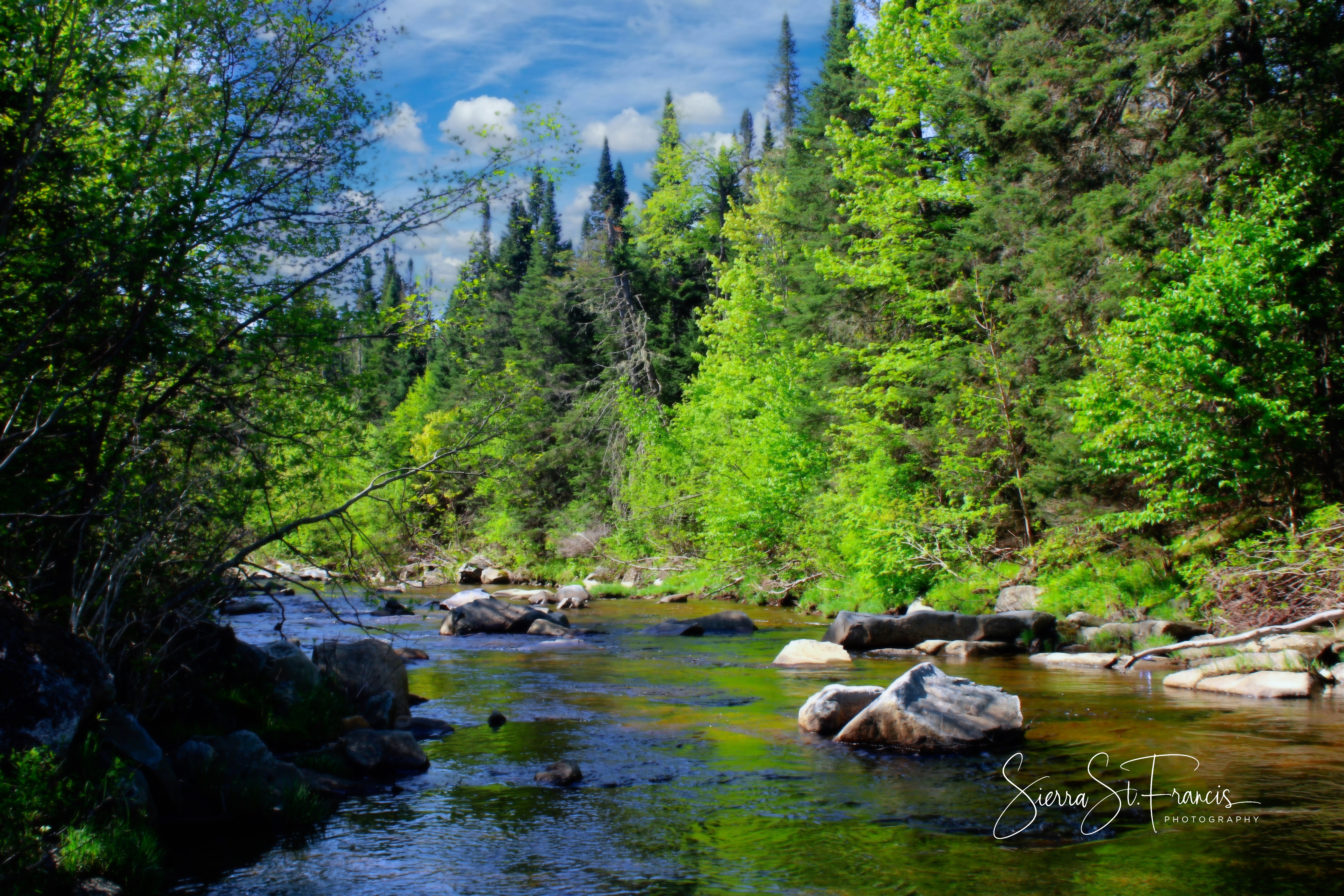 GuruShots - Nature March 2026