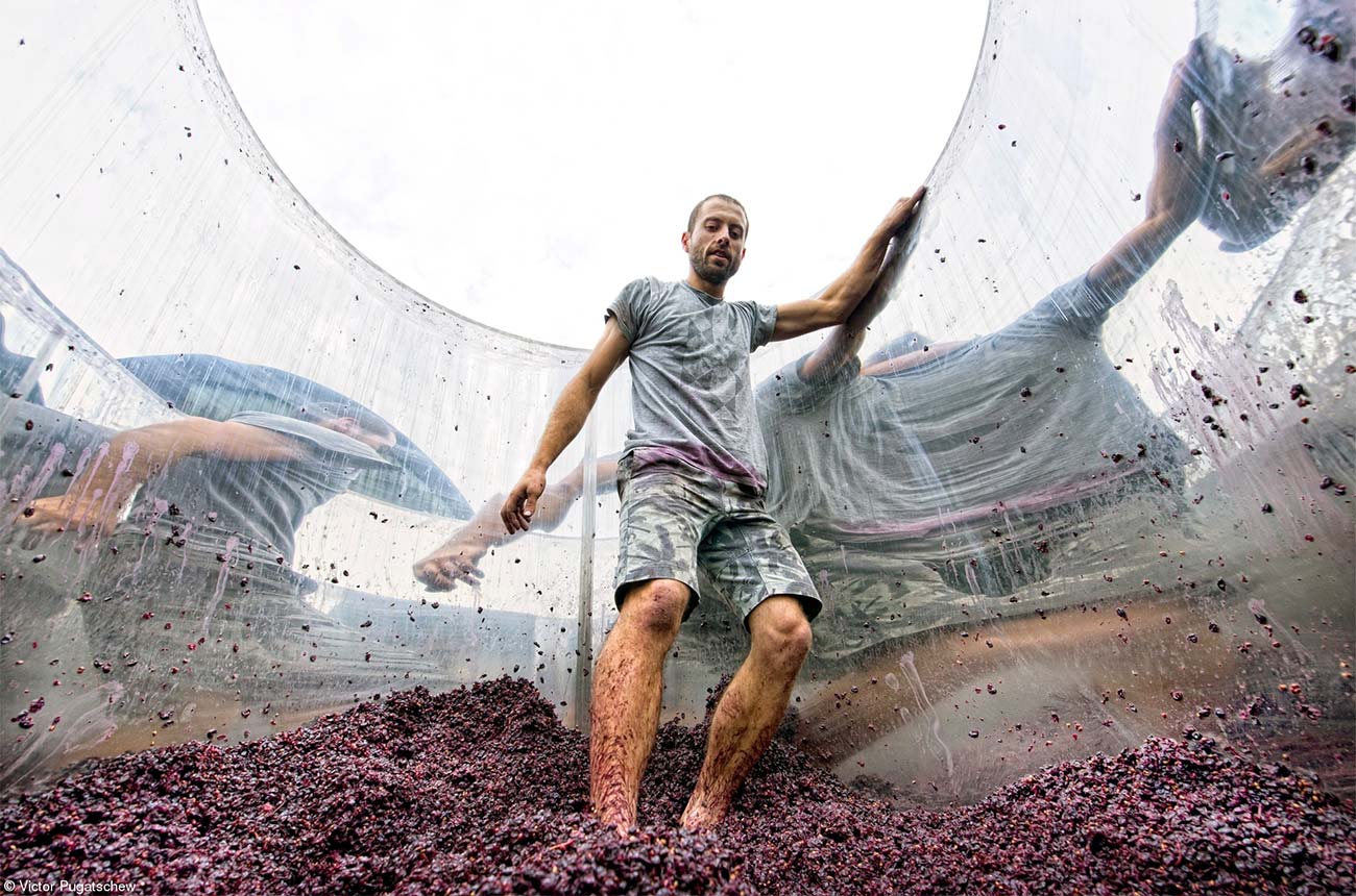 People_1st-Victor-Pugatschew-Pressing-the-pinot-noir.jpg