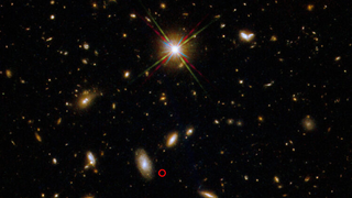 a vast field of shining galaxies