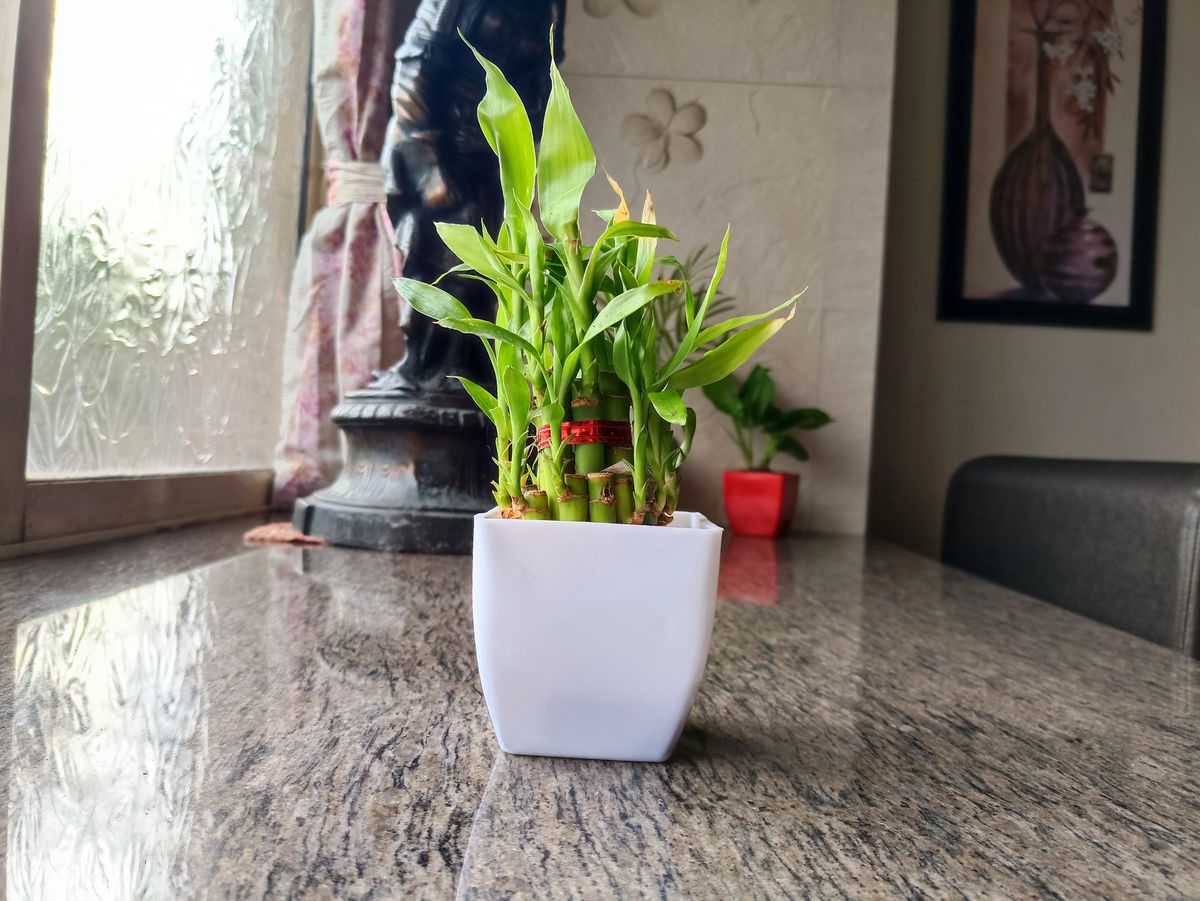 Poco F3 GT camera review