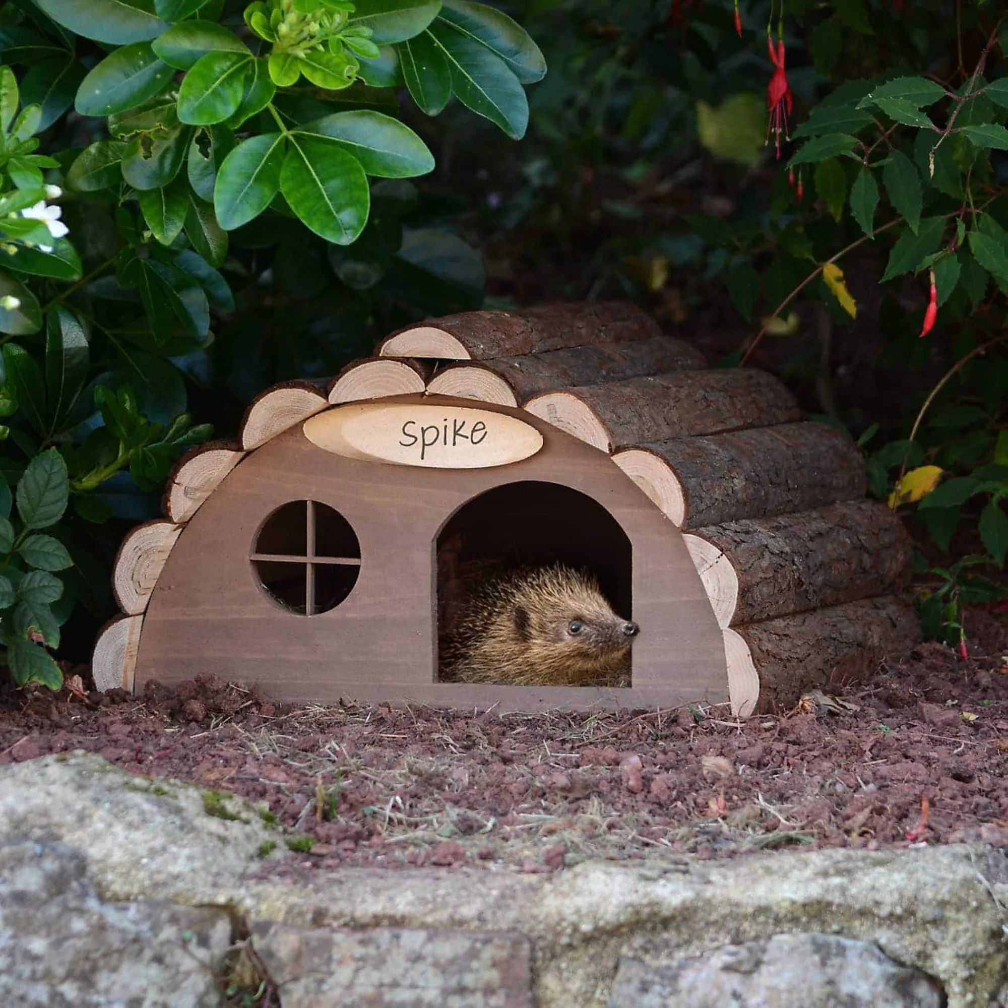 Hedgehog house B&amp;amp;Q
