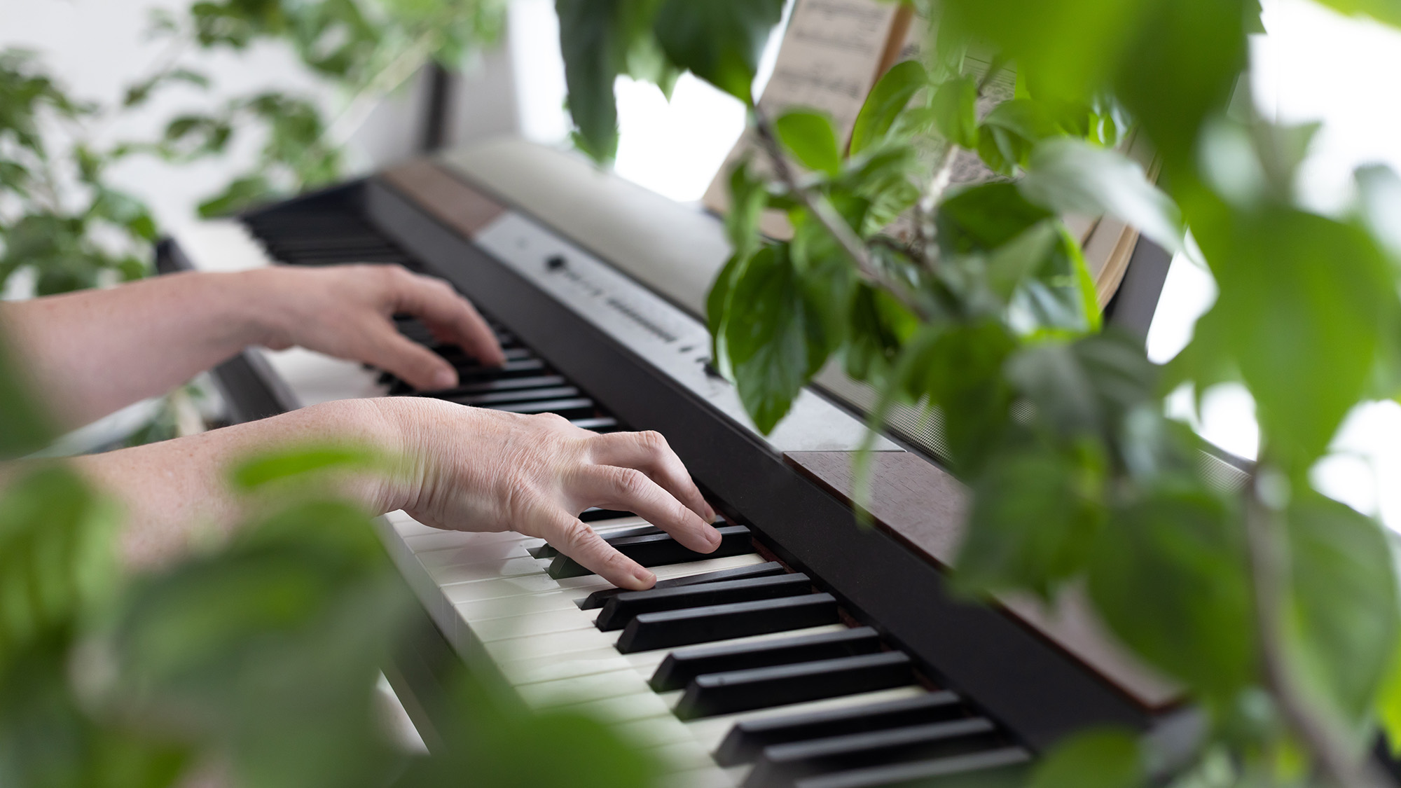 Person playing keyboard with houseplants in foreground