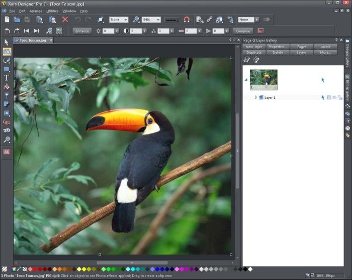 This image of Xara shows the original photo without any editing changes. The interface gives you image and photo editing tools. At the bottom of the screen, you can choose from preset filters.