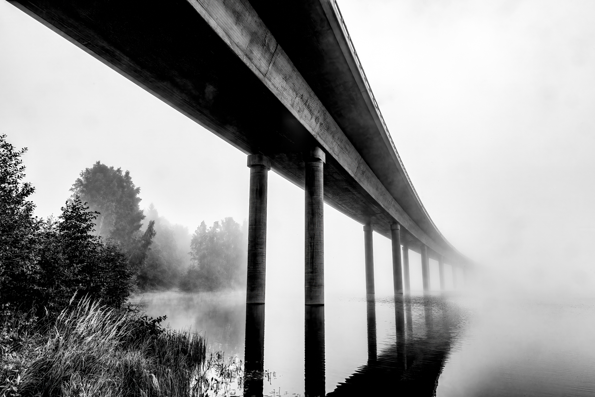 GuruShots - Powerful Black & White Jan 26