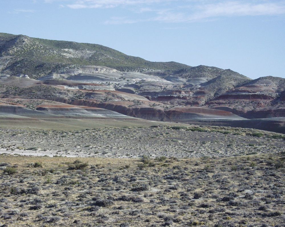 the Punta Peligro fossil locality, Chubut Province, Patagonia. 