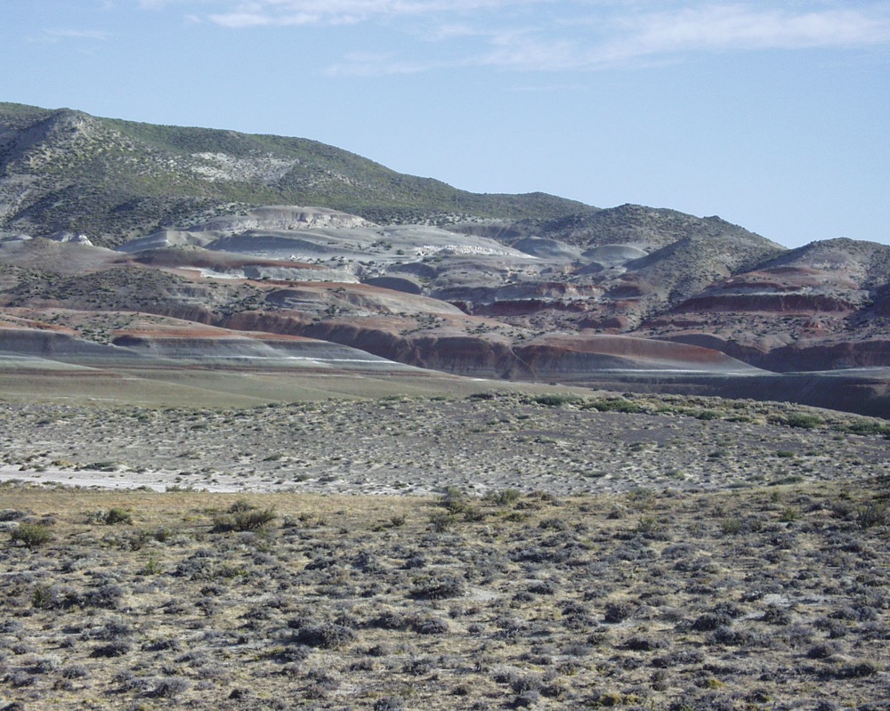 the Punta Peligro fossil locality, Chubut Province, Patagonia.