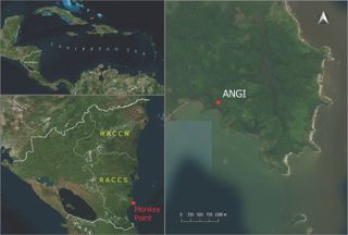 (Top left) A map of Nicaragua, where the ancient woman's remains were found; (bottom left) Monkey Point, the site of the archaeological dig; (right) a zoomed-in image of Monkey Point, showing the exact spot of the Angi site.