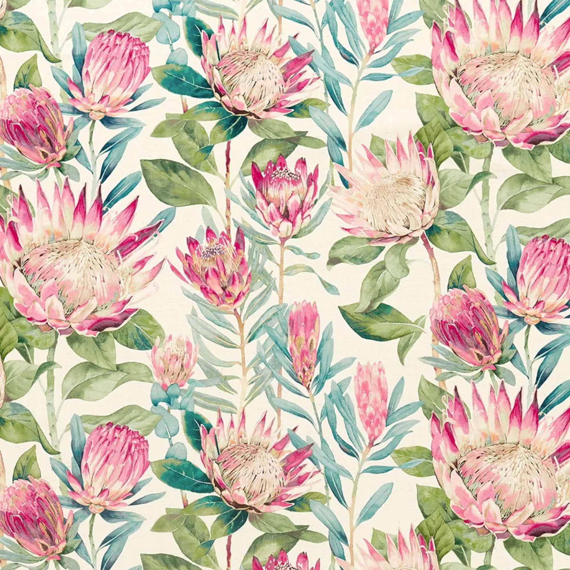 Sanderson King Protea Made to Measure Curtains or Roman Blind, Rhodera