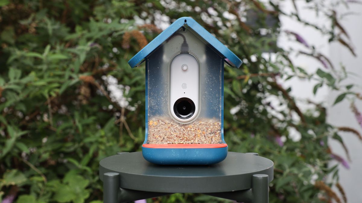 Bird buddy smart bird feeder review digital camera world