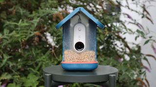 Birdbuddy Smart Feeder in a garden