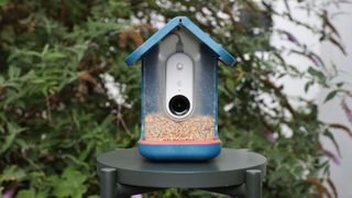 Bird buddy Smart Feeder in a garden