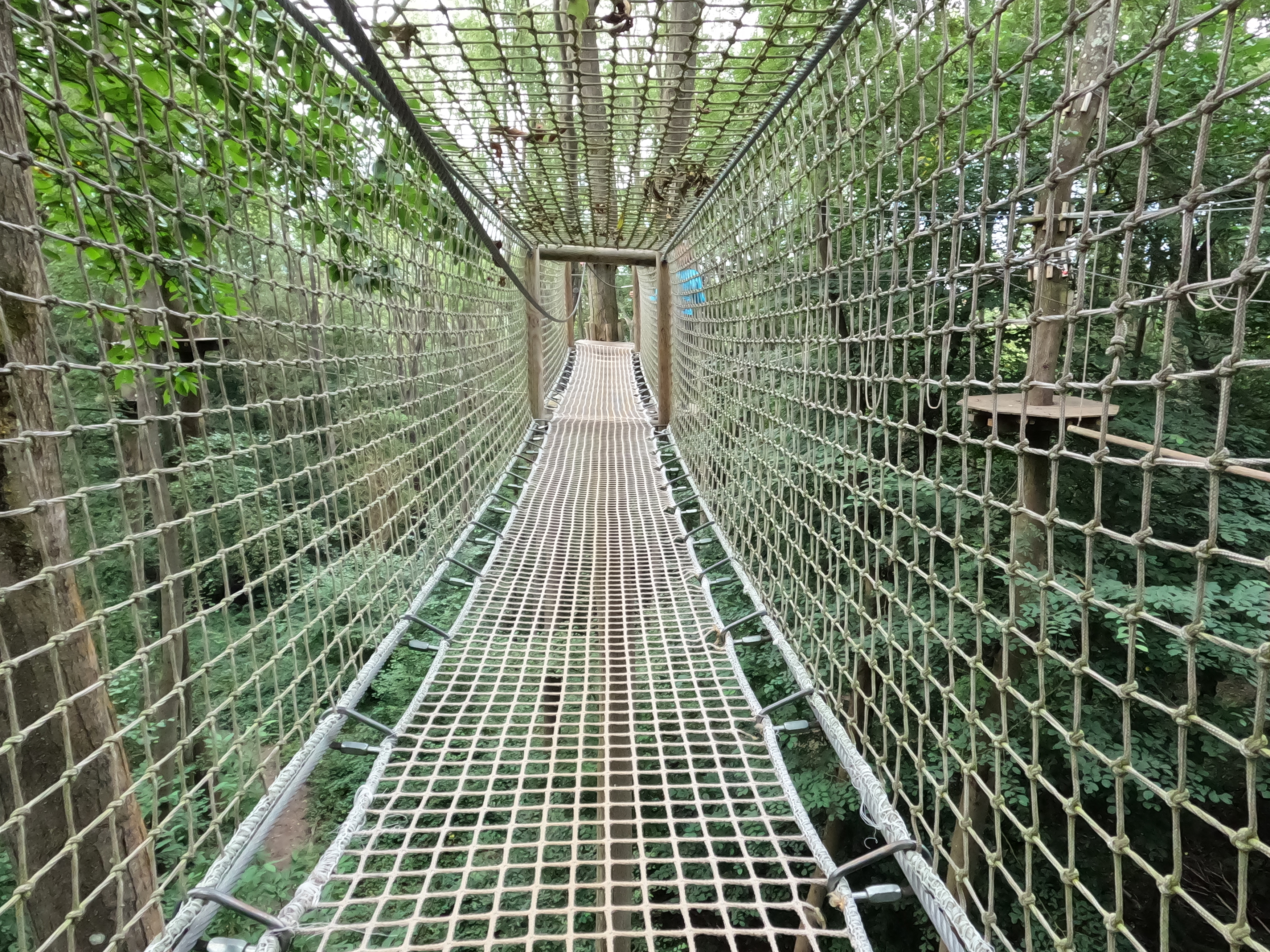 The inside of a netting tunnel at a GoApe adventure park