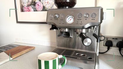 Sage The Barista Express coffee machine in a neutral kitchen with flower artwork on the wall and a green striped mug on the counter