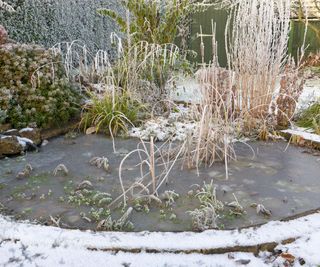 Frozen garden pond in winter