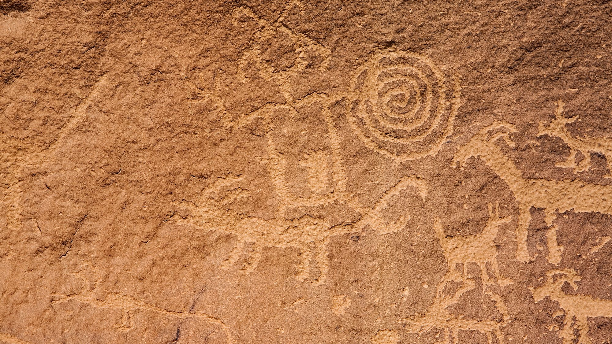 A close up of several rock carvings on a rust-colored rock