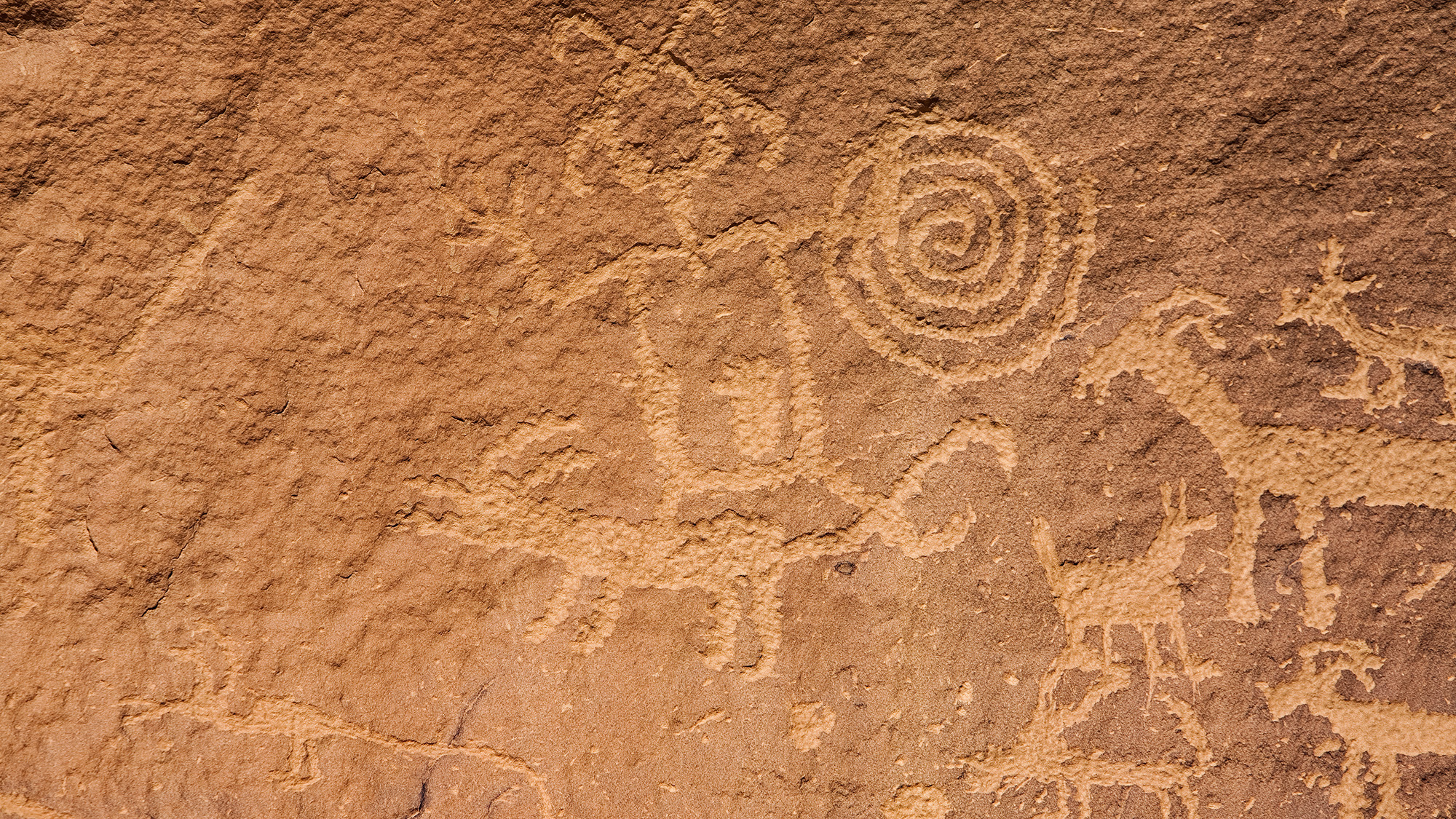 A close up of several rock carvings on a rust-colored rock